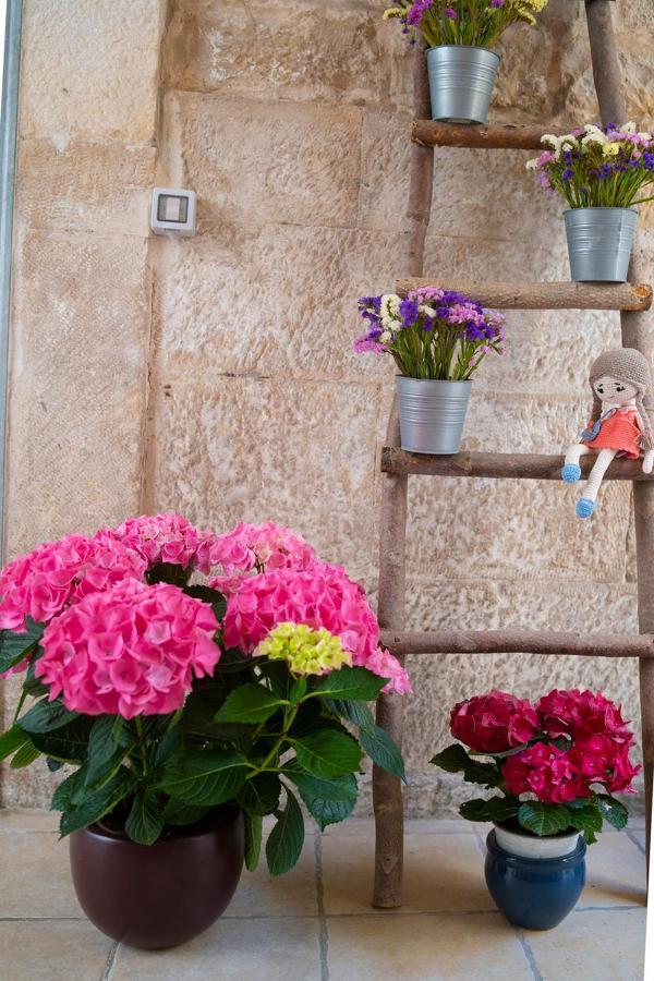 Il Saraceno Apartment Giovinazzo Exterior photo