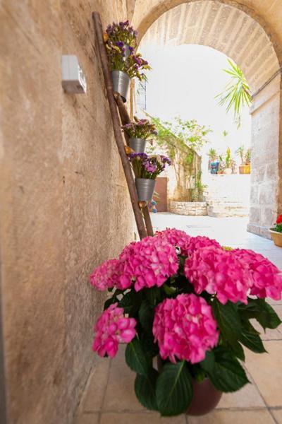 Il Saraceno Apartment Giovinazzo Exterior photo